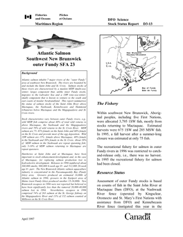 Atlantic Salmon Southwest New Brunswick Outer Fundy SFA 23