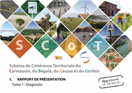 Diagnostic Territorial - Version De Travail N°2- Février 2015