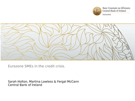 Eurozone Smes in the Credit Crisis