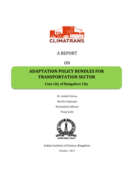 Adaptation Policy Bundles for Transportation Sector