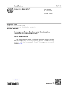 Report of the Special Rapporteur on Contemporary Forms of Racism, Racial Discrimination, Xenophobia and Related Intolerance, E