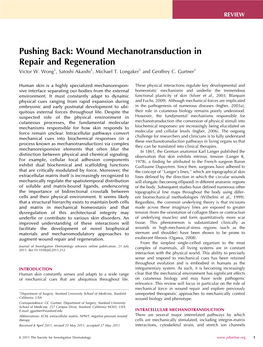 Wound Mechanotransduction in Repair and Regeneration Victor W