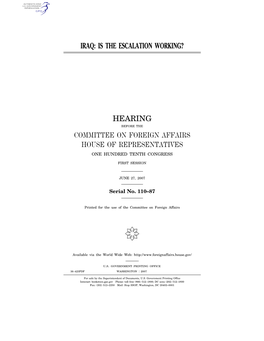 Iraq: Is the Escalation Working?