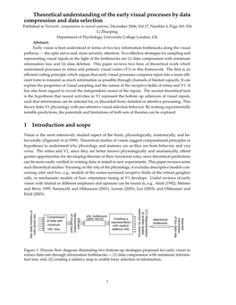 Theoretical Understanding of the Early Visual Processes by Data