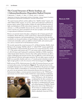 The Crystal Structure of Biotin Synthase, an S-Adenosylmethionine-Dependent Radical Enzyme F