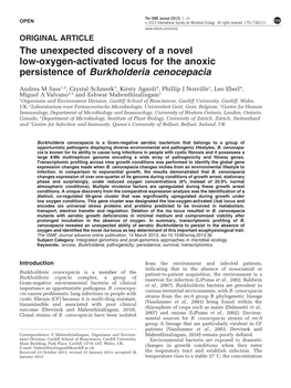 The Unexpected Discovery of a Novel Low-Oxygen-Activated Locus for the Anoxic Persistence of Burkholderia Cenocepacia