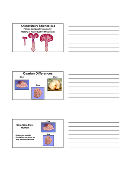 Ovarian Differences Cow Mare