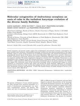 Molecular Cytogenetics of Androctonus Scorpions: an Oasis of Calm in the Turbulent Karyotype Evolution of the Diverse Family Buthidae