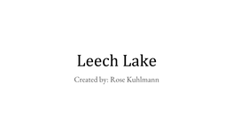 Leech Lake Is One of the Biggest Lakes in Minnesota