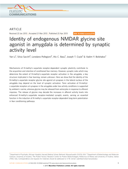 Identity of Endogenous NMDAR Glycine Site Agonist in Amygdala Is Determined by Synaptic Activity Level