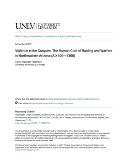 Violence in the Canyons: the Human Cost of Raiding and Warfare in Northeastern Arizona (AD 300-~1300)