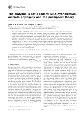 The Platypus Is Not a Rodent: DNA Hybridization, Amniote Phylogeny and the Palimpsest Theory