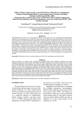 (Gekko Gecko LINNAEUS, 1758) Saliva on Angiogenesis