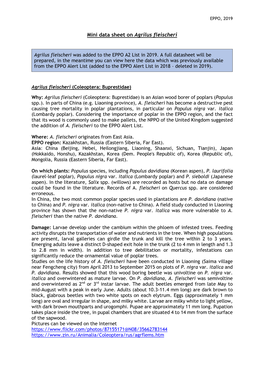 Mini Data Sheet on Agrilus Fleischeri