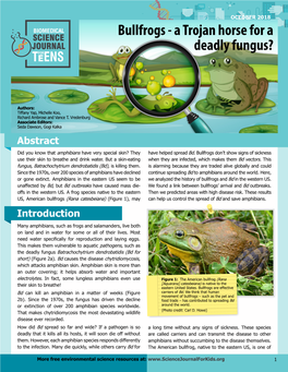 Bullfrogs - a Trojan Horse for a Deadly Fungus?