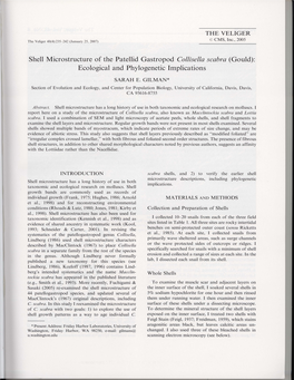 Shell Microstructure of the Patellid Gastropod Collisella Scabra (Gould): Ecological and Phylogenetic Implications