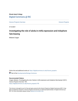 Investigating the Role of Alx4a in Mitfa Repression and Iridophore Fate Biasing