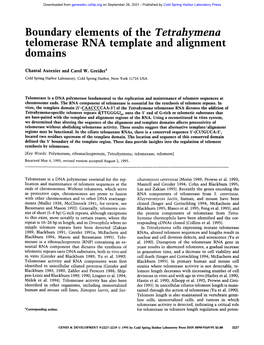 Boundary Elements of the Tetrahymena Telomerase RNA Template and Alignment Domains