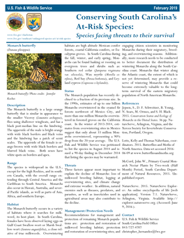 Sc-Monarch-Butterfly.Pdf