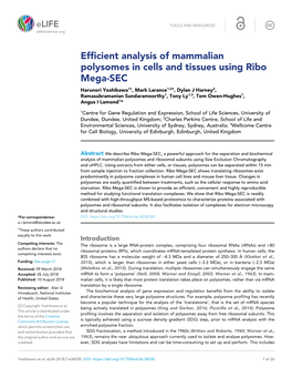 Efficient Analysis of Mammalian Polysomes in Cells and Tissues