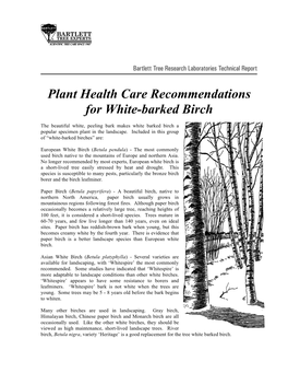 Plant Health Care Recommendations for White-Barked Birch