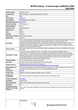 MUTED Antibody - C-Terminal Region (ARP63301 P050) Data Sheet