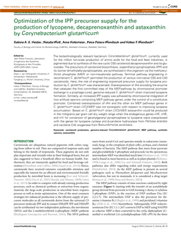 Optimization of the IPP Precursor Supply for the Production of Lycopene, Chem