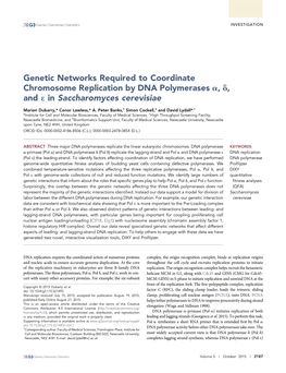 Genetic Networks Required to Coordinate Chromosome Replication by DNA Polymerases A, D, and E in Saccharomyces Cerevisiae