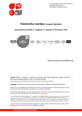 Falsistrellus Mordax, Pungent Pipistrelle