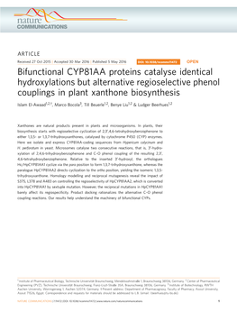 Bifunctional CYP81AA Proteins Catalyse Identical Hydroxylations but Alternative Regioselective Phenol Couplings in Plant Xanthone Biosynthesis