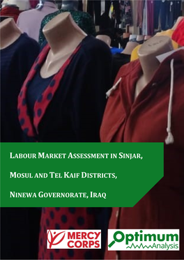 Labour Market Assessment in Sinjar, Mosul and Tel Kaif Districts, Ninewa Governorate,Iraq