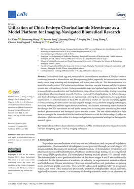 Utilisation of Chick Embryo Chorioallantoic Membrane As a Model Platform for Imaging-Navigated Biomedical Research