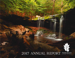 2017 Annual Report