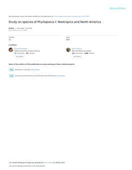 Study on Species of Phylloporus I: Neotropics and North America