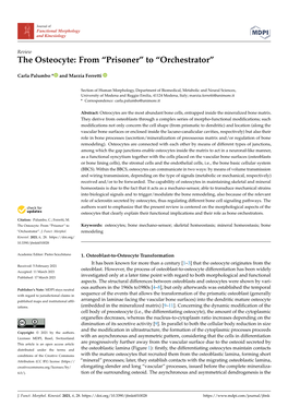 The Osteocyte: from “Prisoner” to “Orchestrator”