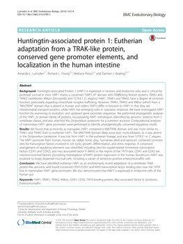 Eutherian Adaptation from a TRAK-Like Protein, Conserved Gene Promoter Elements, and Localization in the Human Intestine Amanda L