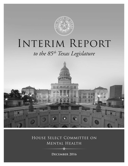 Texas House Select Committee on Mental Health Interim Report