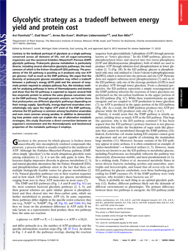 Glycolytic Strategy As a Tradeoff Between Energy Yield and Protein Cost