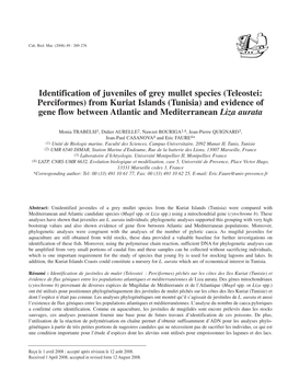 Identification of Juveniles of Grey Mullet Species (Teleostei