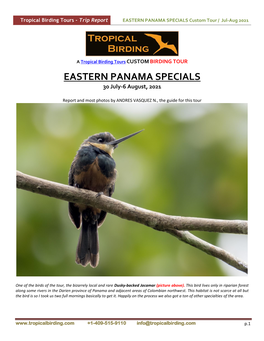 EASTERN PANAMA SPECIALS Custom Tour / Jul-Aug 2021