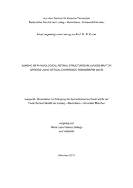 Imaging of Physiological Retinal Structures in Various Raptor Species Using Optical Coherence Tomography (Oct)