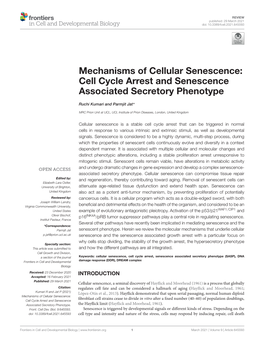 Cell Cycle Arrest and Senescence Associated Secretory Phenotype