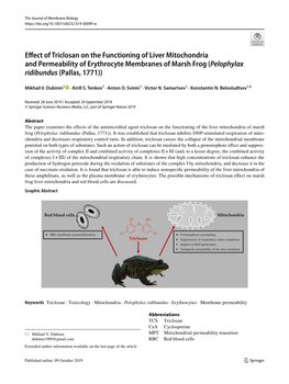 Effect of Triclosan on the Functioning of Liver Mitochondria And