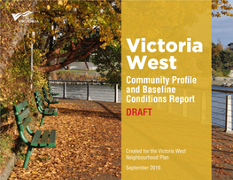 Victoria West Profile and Baseline Report