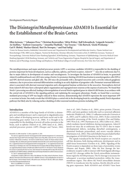 The Disintegrin/Metalloproteinase ADAM10 Is Essential for the Establishment of the Brain Cortex