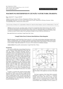 Macrofungi Determined in Uzungöl Nature Park (Trabzon)