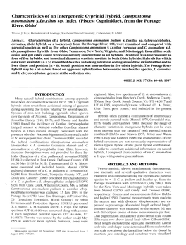 Characteristics of an Intergeneric Cyprinid Hybrid, Campostoma Anomalum X Luxilus Sp