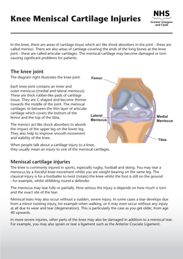 Knee Meniscal Cartilage Injuries
