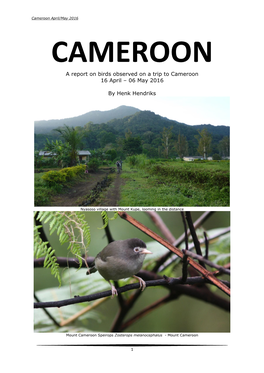 A Report on Birds Observed on a Trip to Cameroon 16 April – 06 May 2016