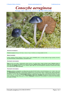 Conocybe Aeruginosa